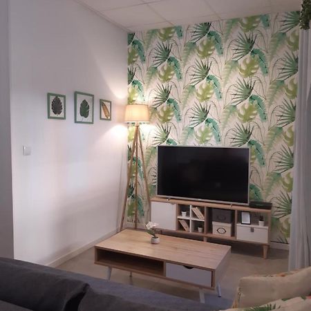 Green Serenity Apartment アリカンテ エクステリア 写真