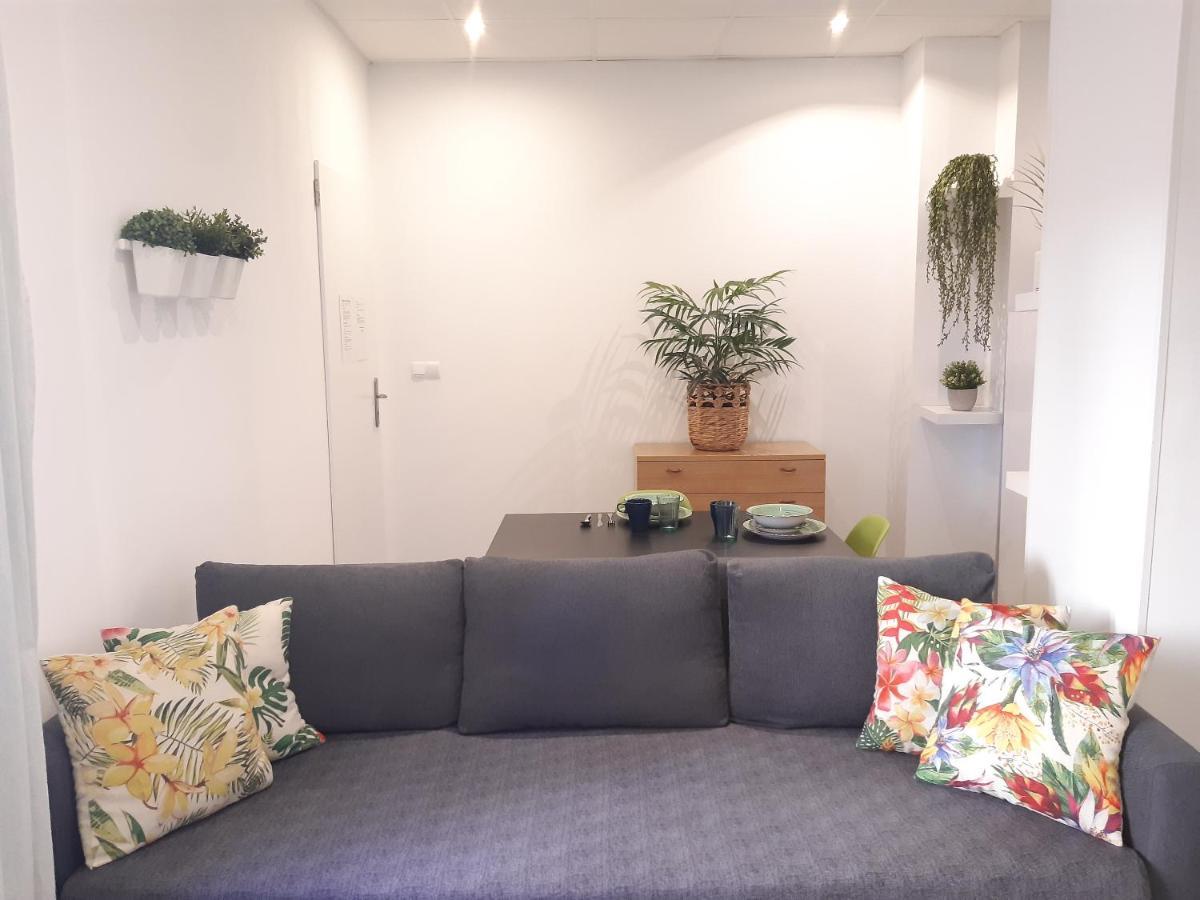 Green Serenity Apartment アリカンテ エクステリア 写真